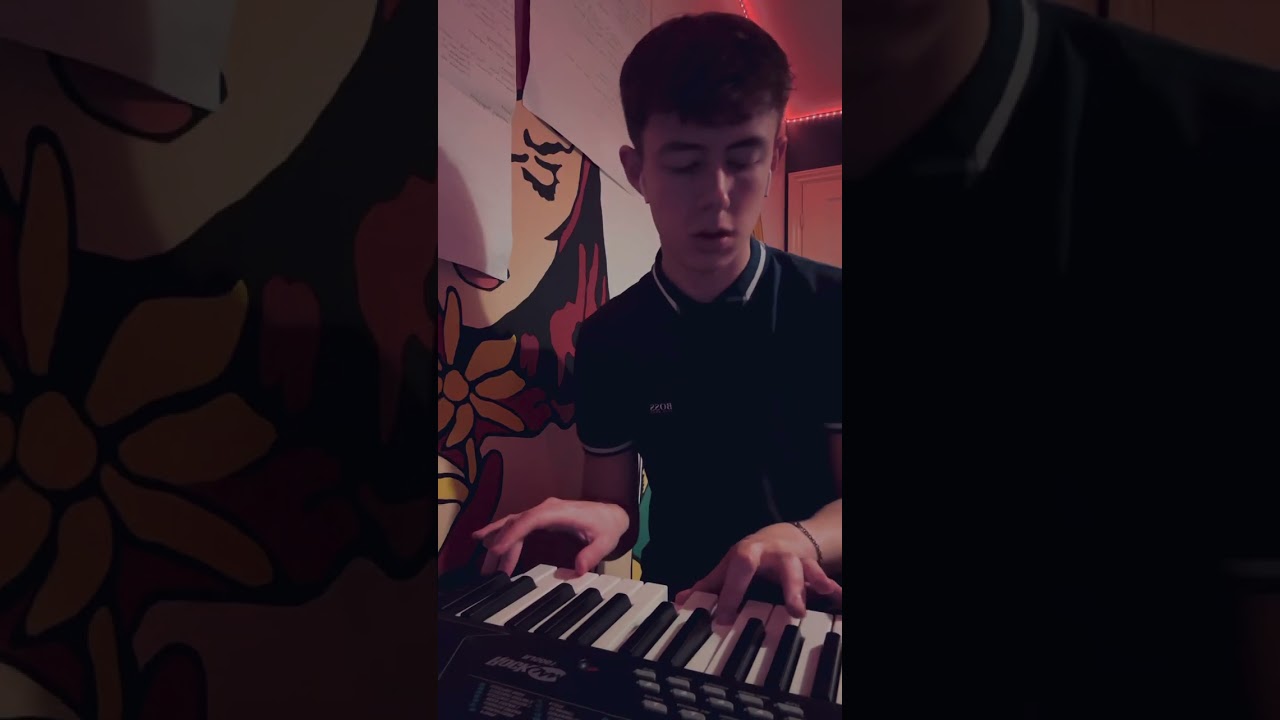 Ethel Cain - Strangers (Piano Cover)