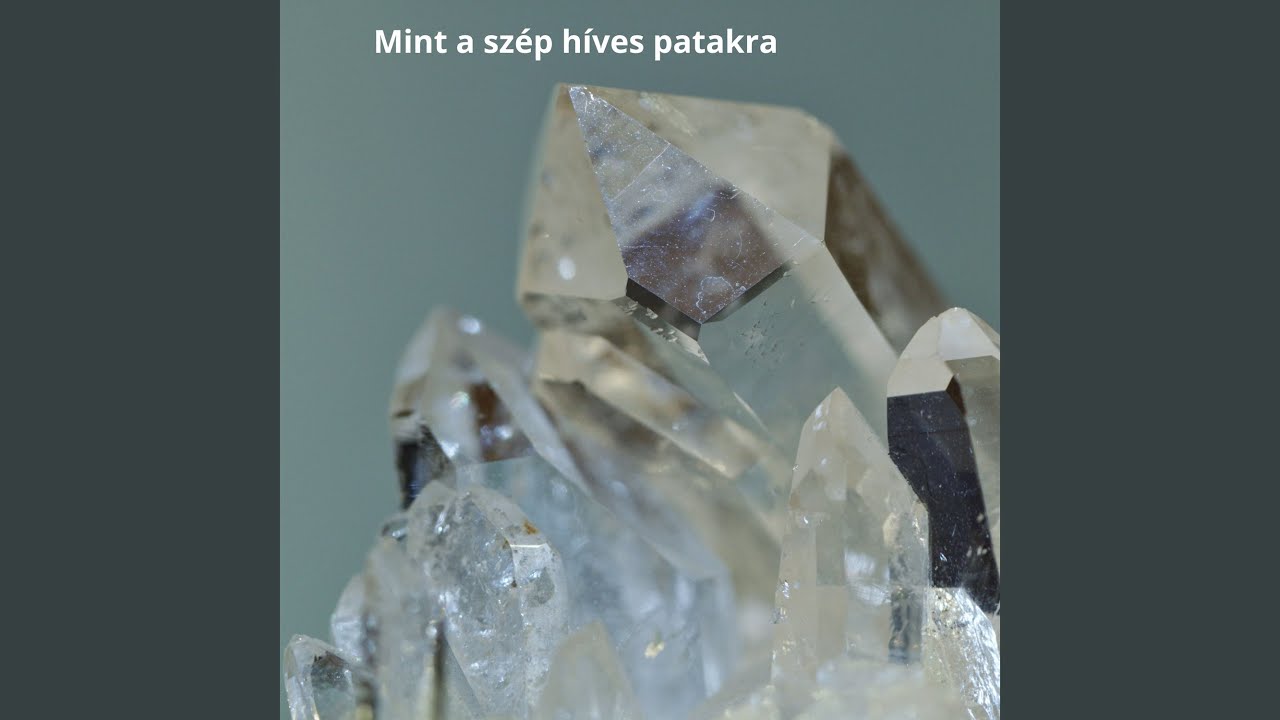 Mint a szép híves patakra