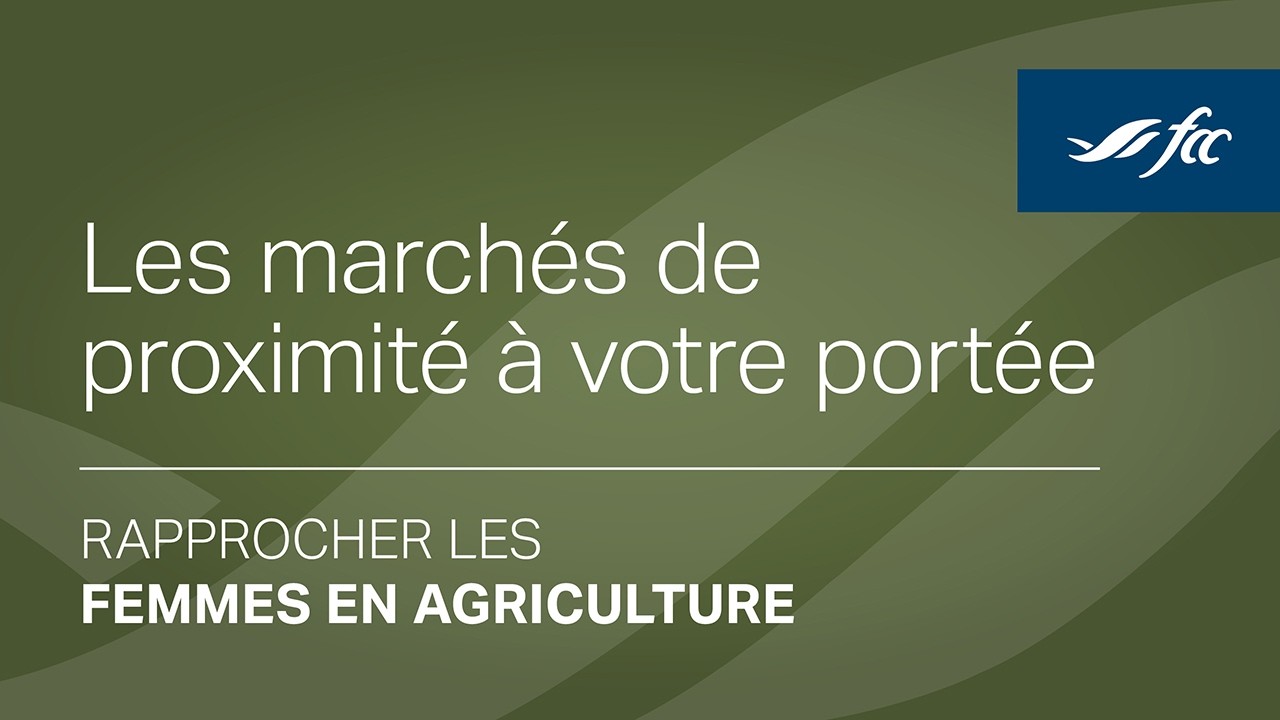 Les marchés de proximité à votre portée