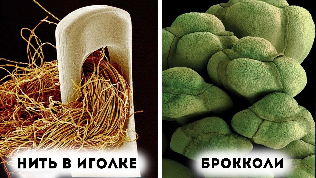 Макрофото повседневных вещей