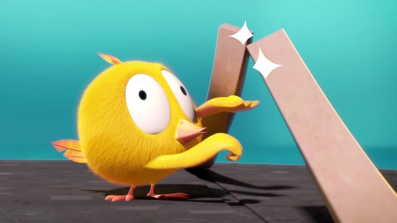 Oops! The mistake | Where's Chicky? | Cartoon Collection in English for Kids | New episodes