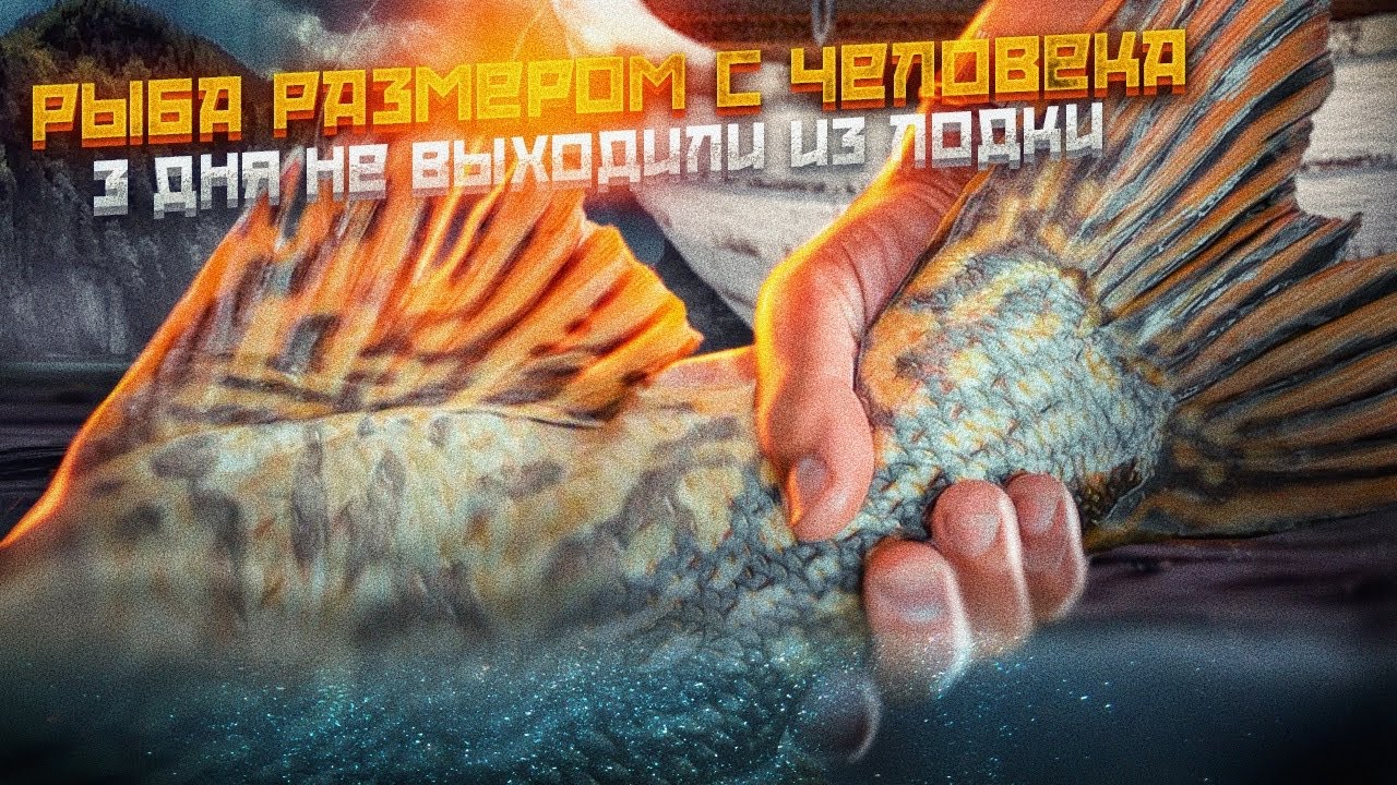 Поймали РЫБУ РАЗМЕРОМ СО СЛАВУ на силикон! Трое суток в лодке. Щука с третьего заброса. PAL 2022