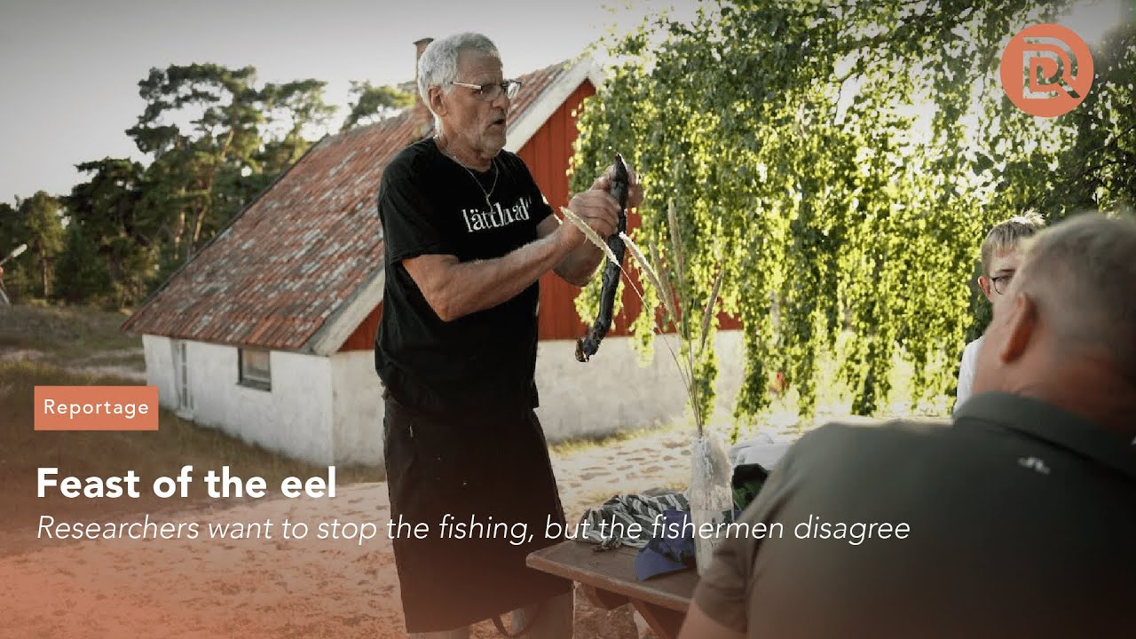 Feast of the eel
