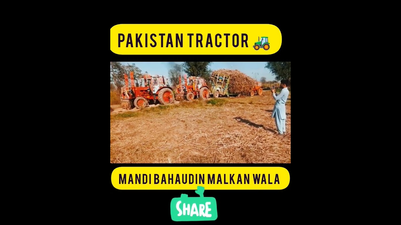 Mandi bahaudin Malkan wala pakistan tractor #agriculture #tractordriving #tractor #tractorstunt