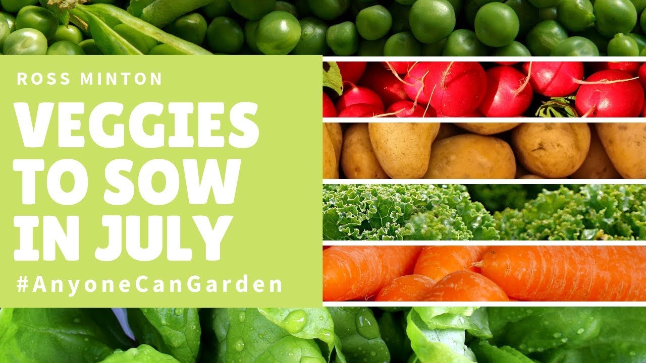 What to plant in July - What veg to plant now - Gardening ideas - vegetable gardening
