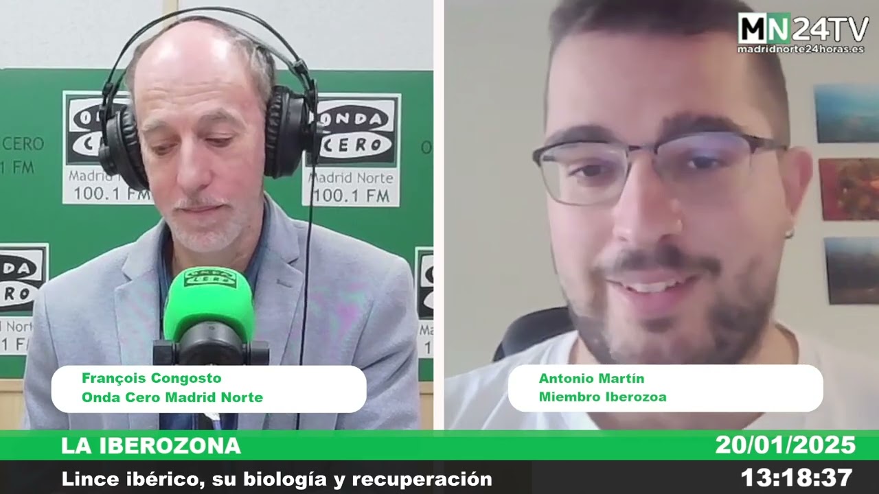 La Iberozona  : Lince ibérico, su biología y recuperación
