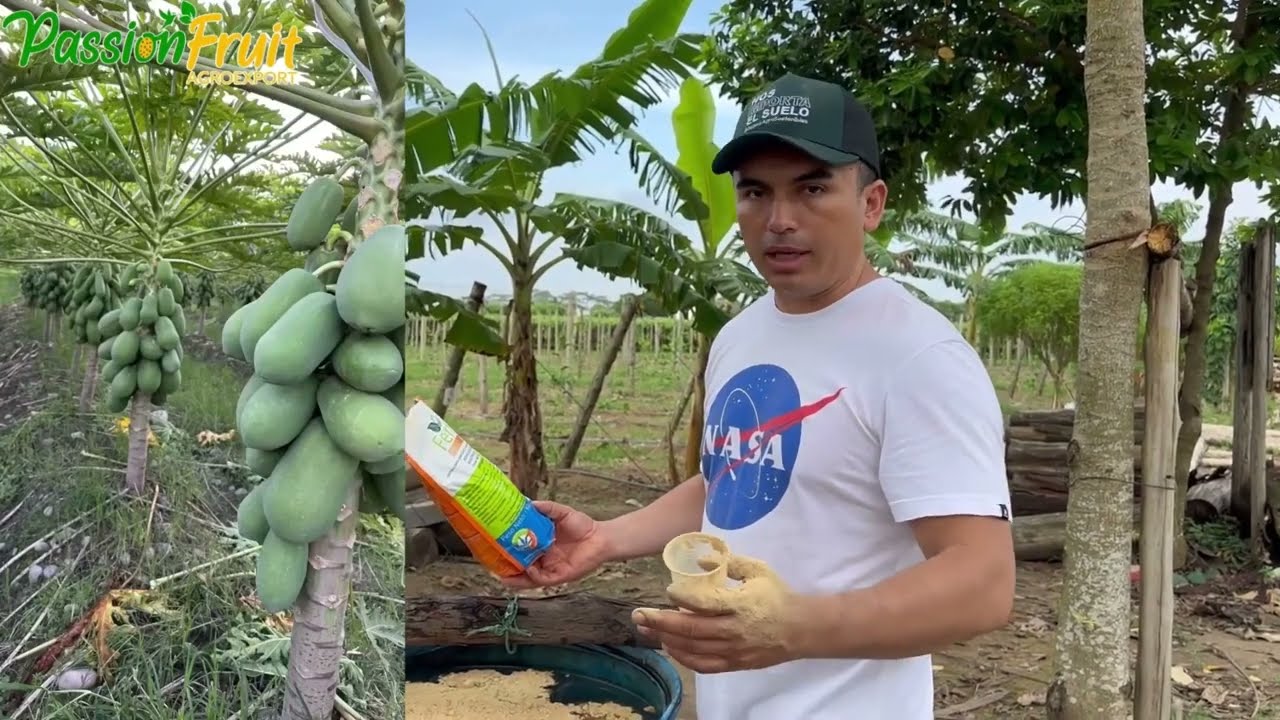 Cómo mejorar la floración y sacar las plantas del estrés por sequía. 🌱