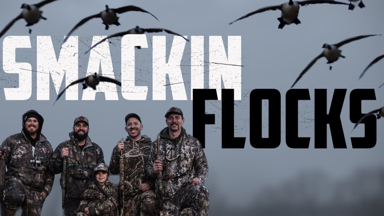 Smackin a HUGE FLOCK of Geese | Ohio Field Hunt 2023