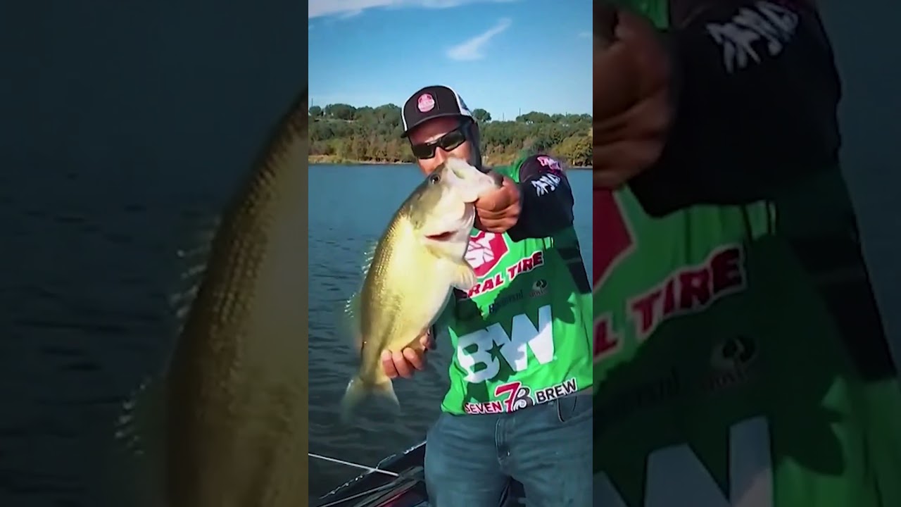 MLF Challenge Cup Get Hype