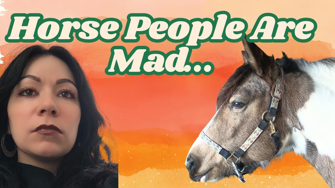 Unpopular Horse Opinions(Don't Yell at ME)