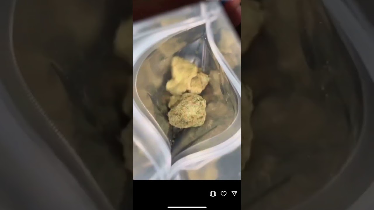 OISHII SUMER SELECT 🥚 