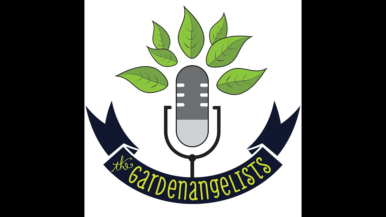 Crocuses, Capsicum, and Celery Vases: We Are Back for Season 8!