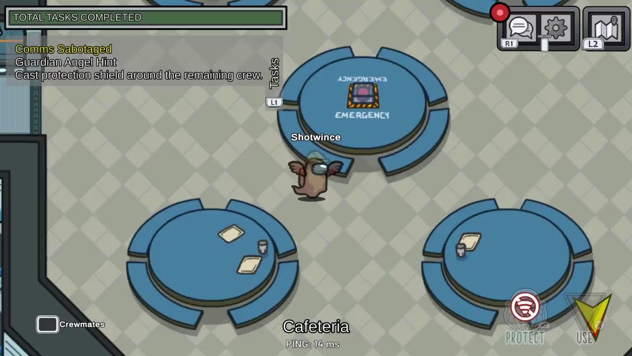 Amung us gameplay