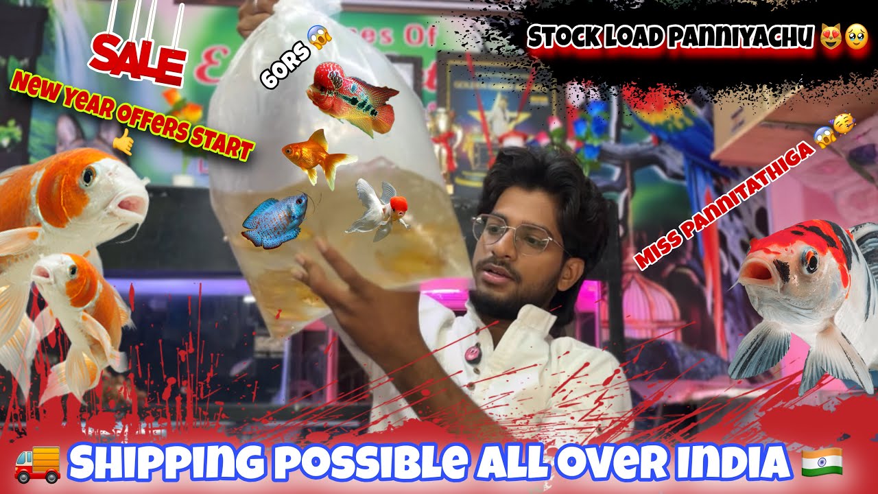 😍 Fully Loaded Stocks !🥳 Unboxing exotic fishes |Delivery Available All Over India 🇮🇳 