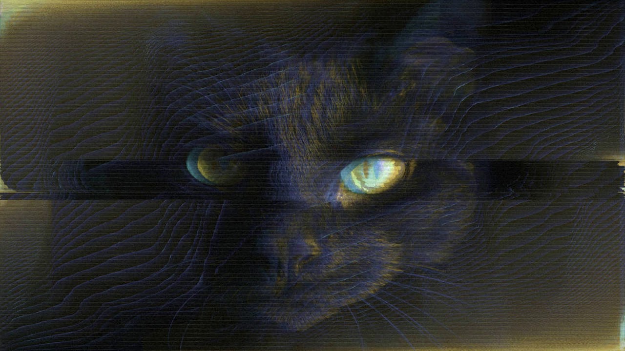 EPROM - The Cat
