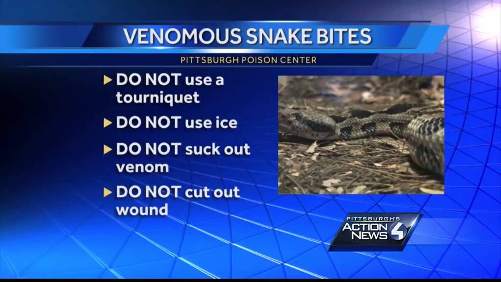 Beaver County man dies from snake bite