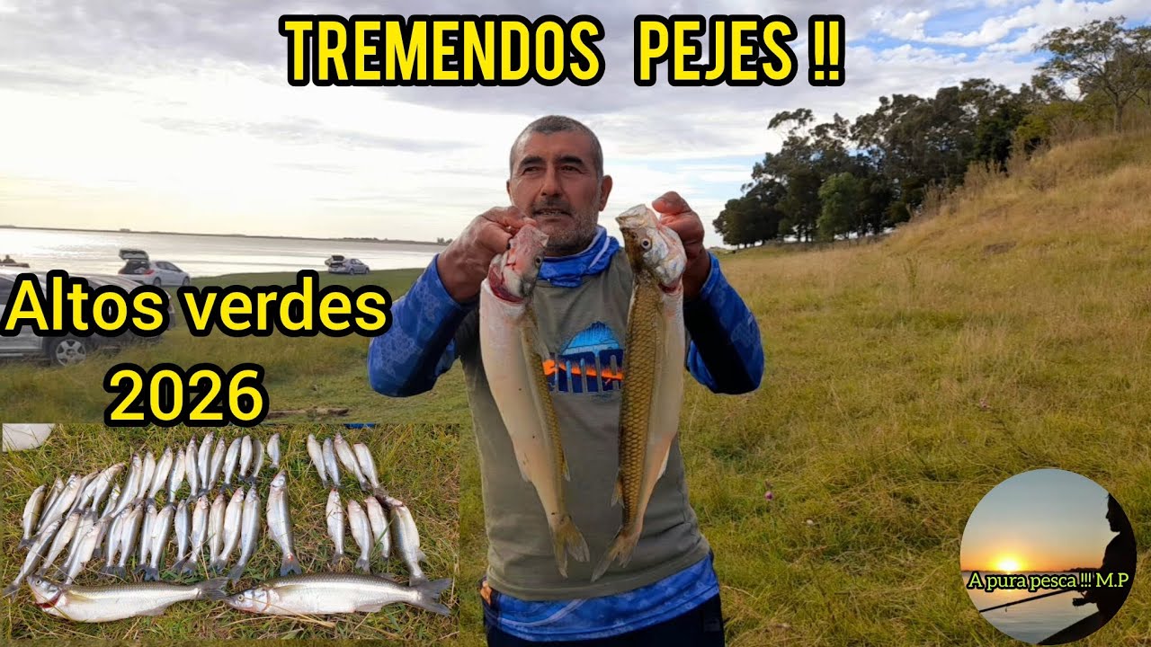 Pesca de pejerrey 2026/arranque de temporada a full con tremendos pejes en laguna altos verdes