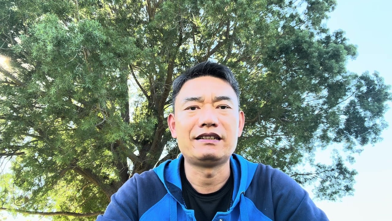 單單倚靠主