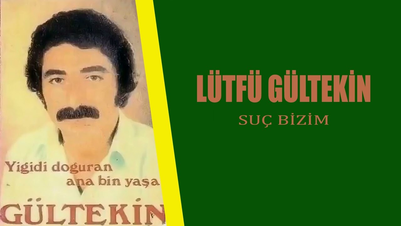 Lütfü Gültekin / Suç Bizim