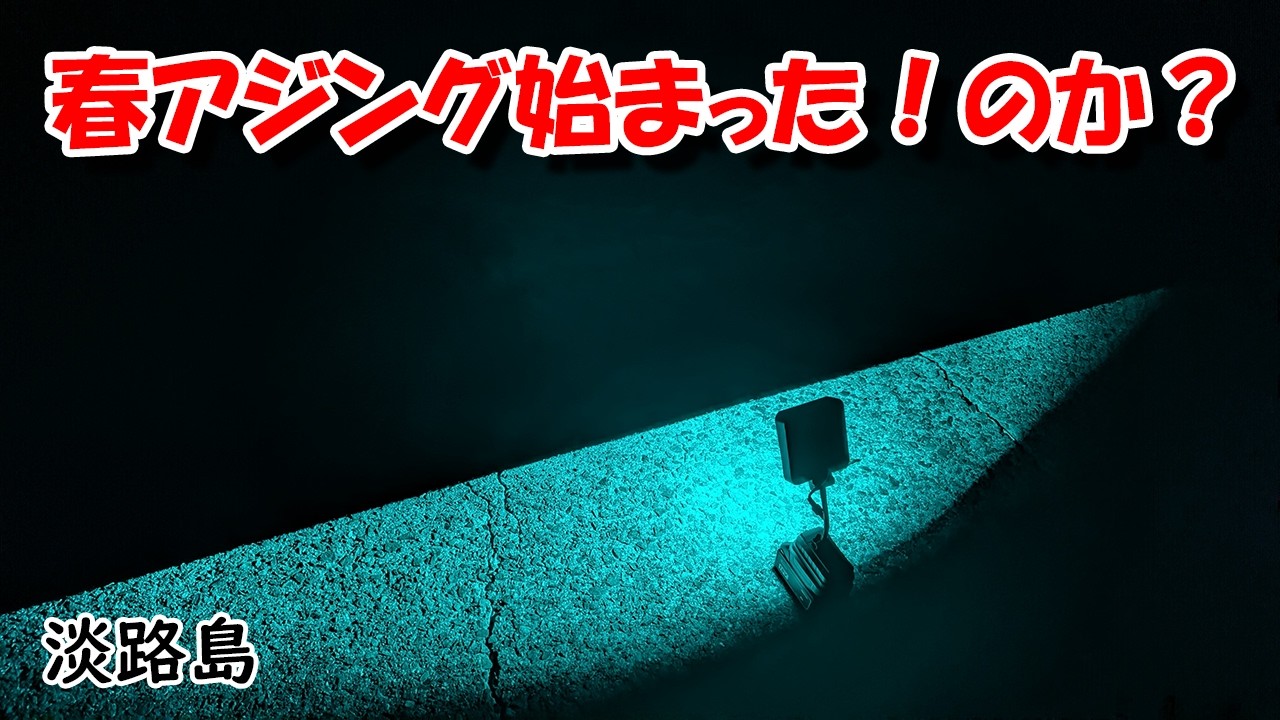 春アジング調査 ３月２０日 淡路島