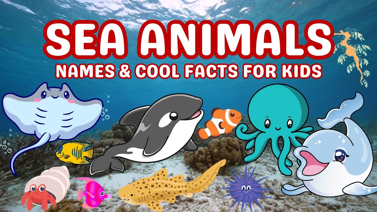 Ultimate Sea Animal Learning Video 🐠  | Fun Sea Animal Learning for Kids! | Educational Video