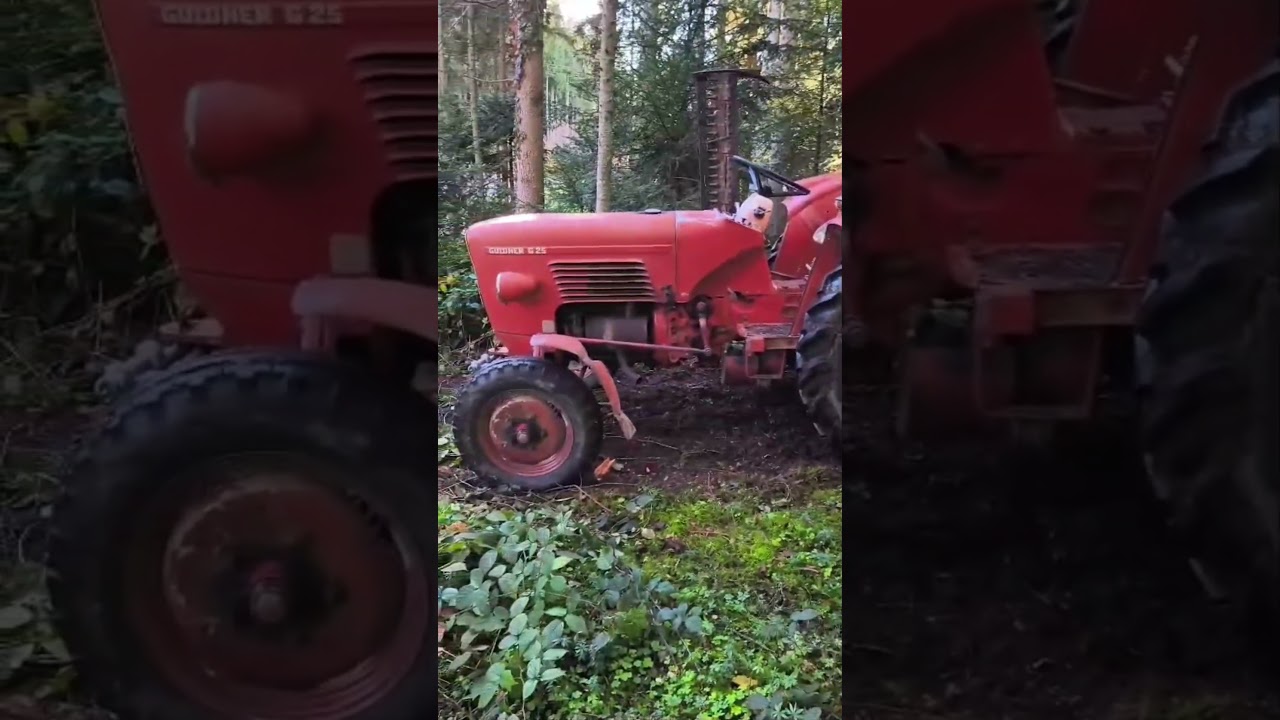 Nur 25 PS – aber der Güldner G25 zeigt, was in ihm steckt 🔥 