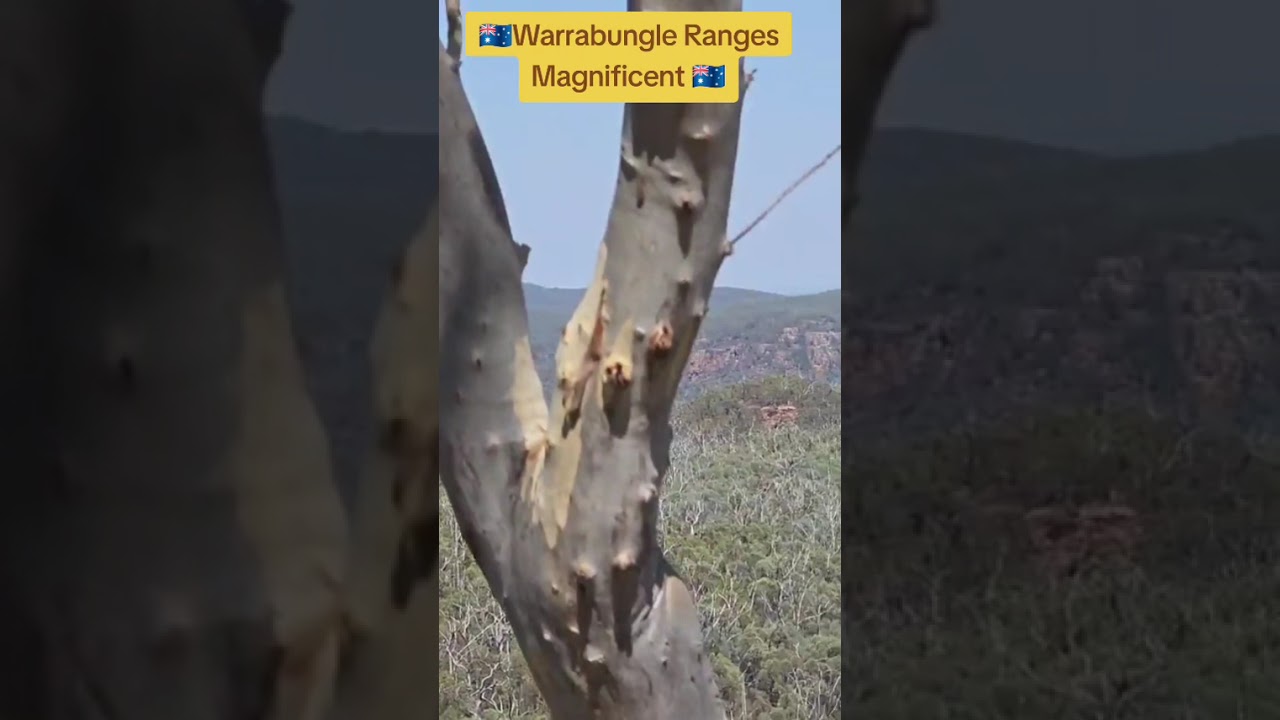 Best view in Australia 