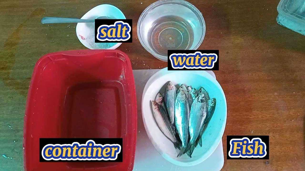 Brine Salting and Drying Salting