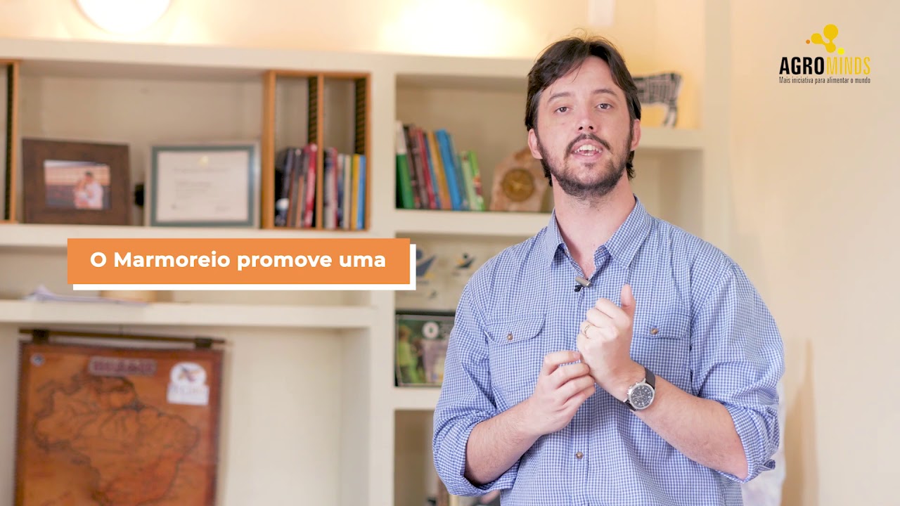 A CARNE COM MARMOREIO &Eacute; TUDO ISSO QUE DIZEM? #carnebovina #mamoreio