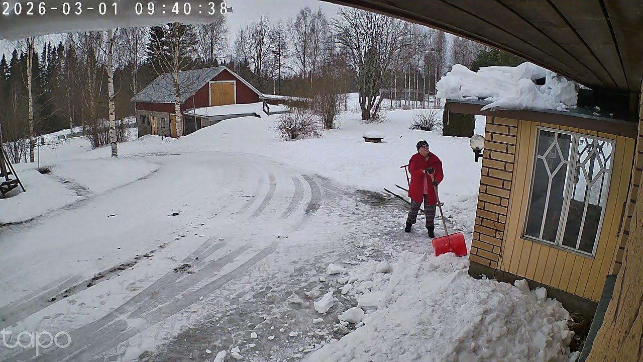 Искусственное оснежение и катание на санках