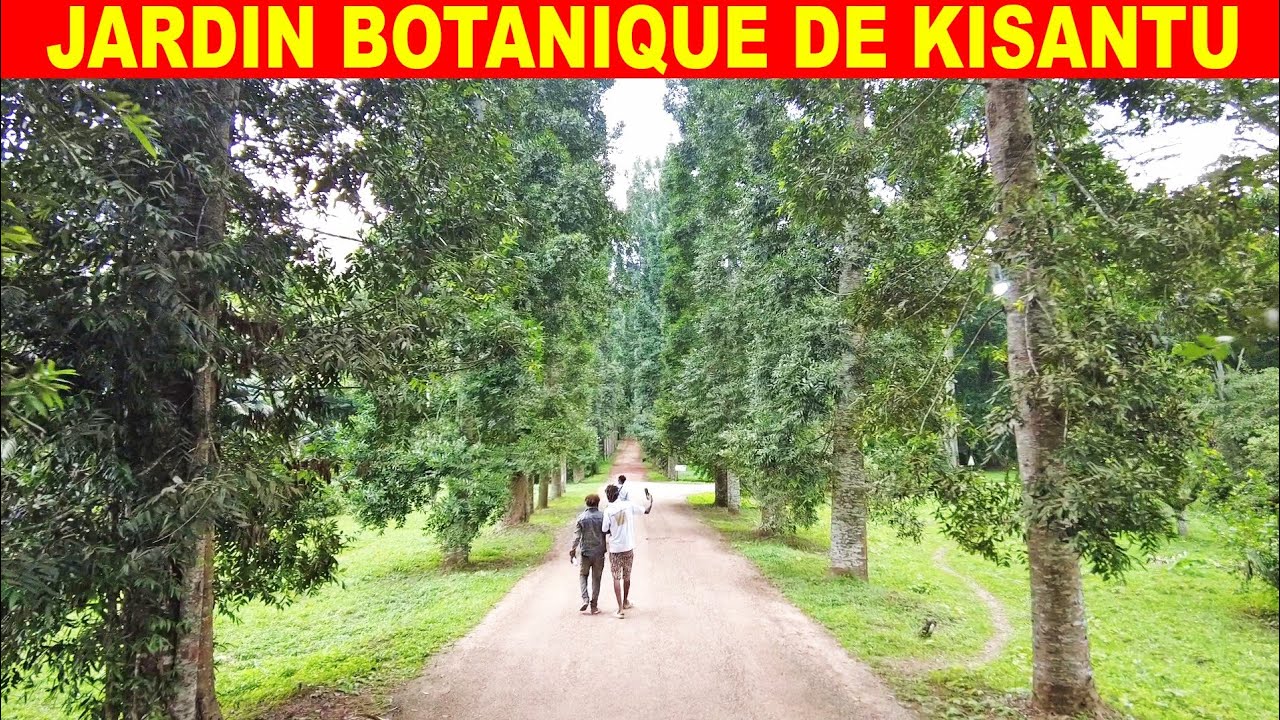 Spécial JARDIN BOTANIQUE DE KISANTU | KONGO CENTRAL - RDC
