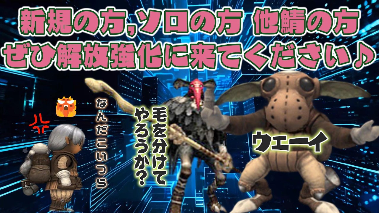 (魔導剣士デビュー戦).新規の方,ソロの方,他サーバーの方,装備解放強化にぜひ参加してください❤ 今から始めても楽しめる面白いゲームはファイナルファンタジー１１  (FF11)ビスマルクサーバー