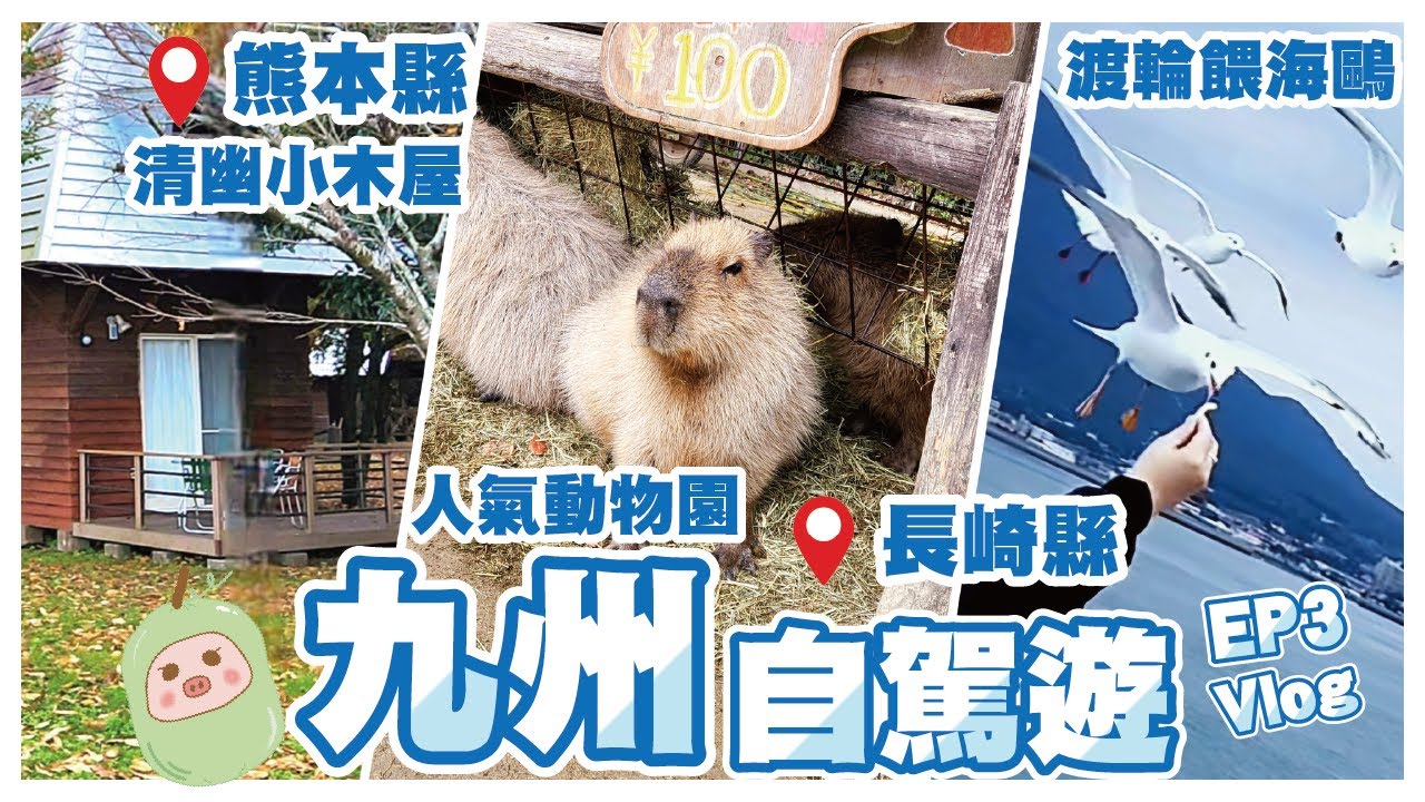 《冬瓜豬日本篇》EP3 九州8日自駕遊🚗Day 4~長崎人氣生態動物園BIO PARK~搭汽車渡輪去熊本~仲會船上餵海鷗~環境清幽七城小木屋｜每個地方都有電話號碼或Mapcode方便自駕遊朋友｜冬瓜豬