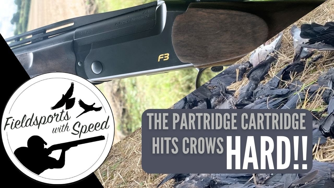 Decoying Crows | Crow Shooting | Testing The Partridge Cartridge from Hull Cartridges