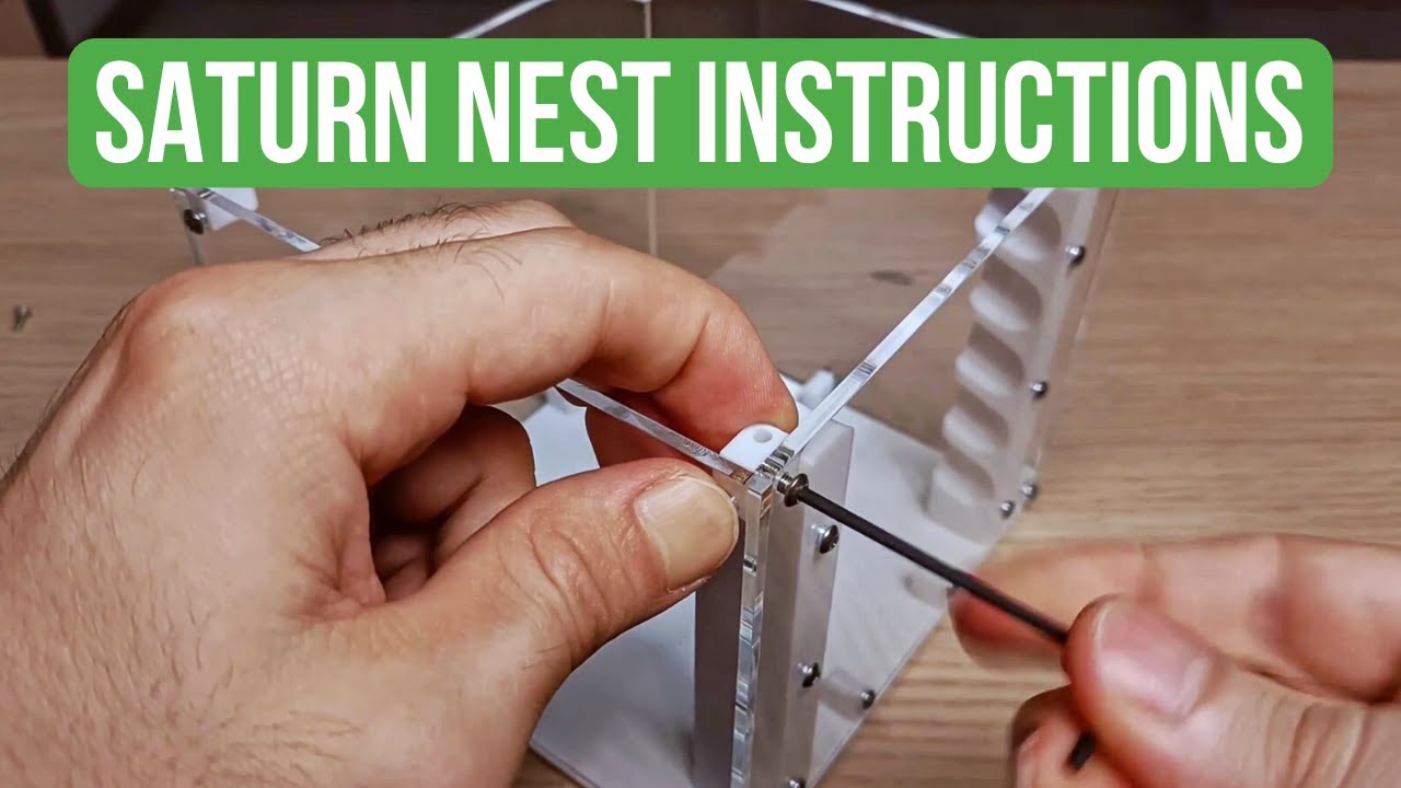 How To Build The WaKooshi Saturn Nest - Instructions | BRUMA Ants
