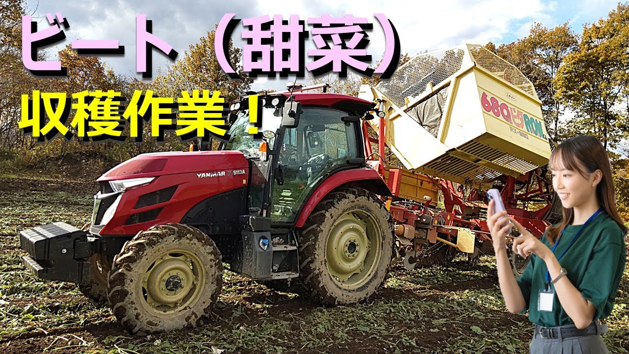 コントラクターによる、ビート収穫作業（フル動画）