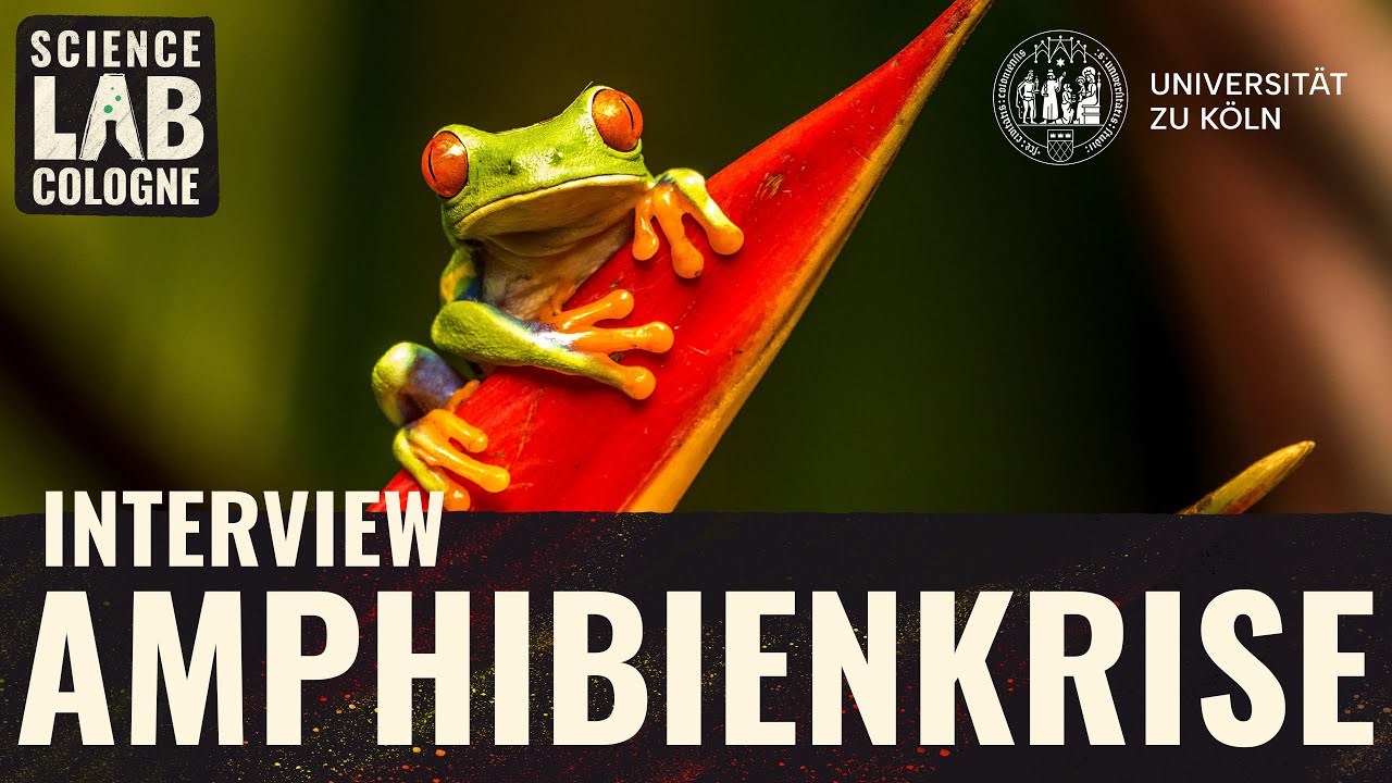 Massenaussterben der Amphibien - Interview mit Prof. Dr. Thomas Ziegler (Kölner Zoo)