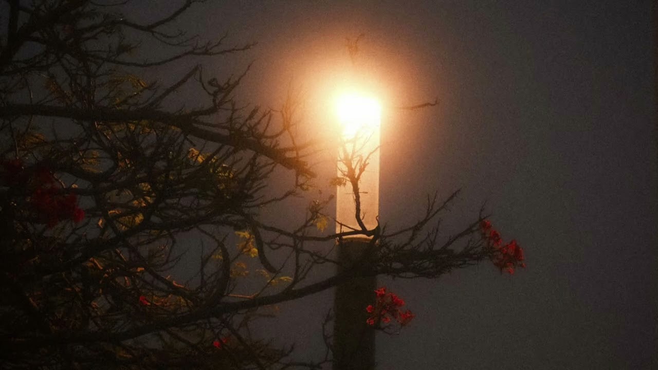 ﴿فَإِذا نُفِخَ فِي الصّورِ فلا أَنسابَ بَينَهُم يَومَئِذٍ وَلا يَتَساءَلونَ﴾ تلاوة للقارئ انس المالك