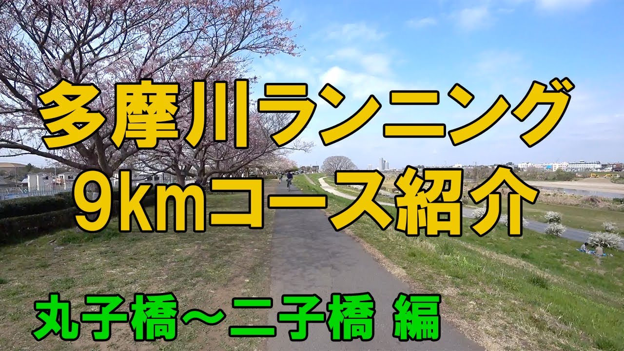 全長約9キロ多摩川ランニングコース紹介（丸子橋〜二子橋）。アップダウンもほとんどなく、ノンストップで走れるため、フルマラソン練習に最適です。