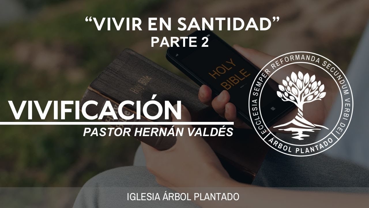 373 - Vivir en santidad - Vivificación - Parte 2
