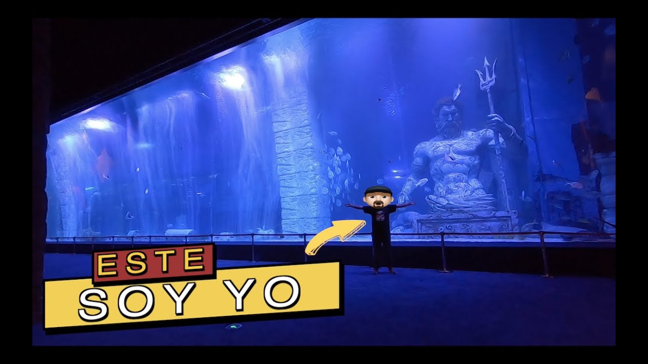 EL ACUARIO MÁS GRANDE DE CHINA||||||😍🐧🐟🐠🦈🦈🦈