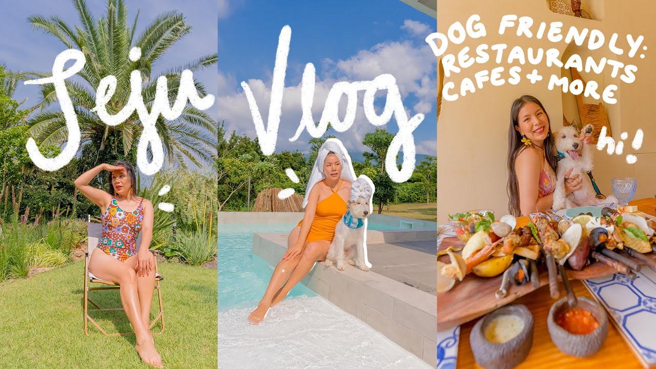Jeju Island Vlog | Where to stay, dog friendly spots, most scenic picture spots & more