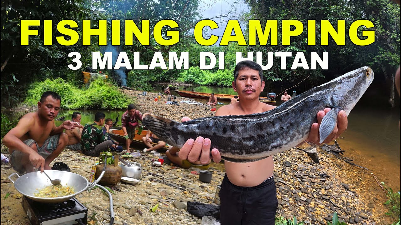 Fishing Camping | Berpetualang Bermalam Di Hutan Mencari Ikan Ke Hulu Sungai | Hutan Kalimantan