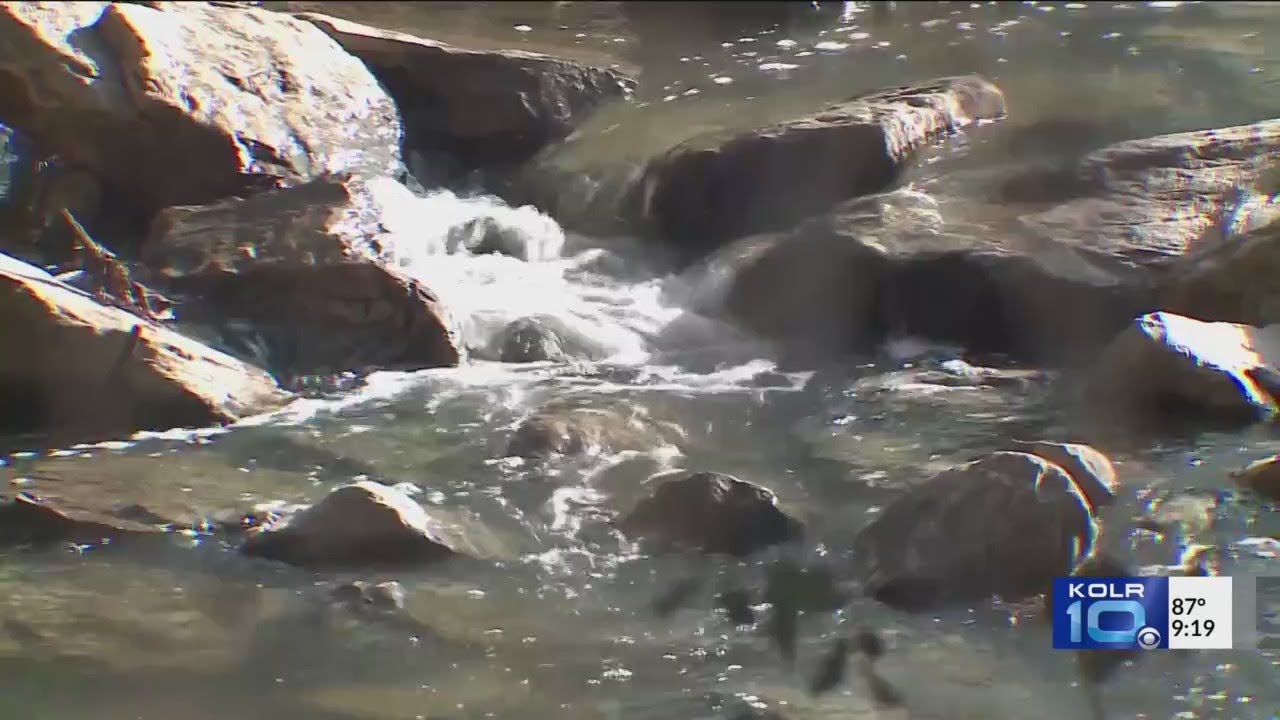 The Connection Between Coldwater Creek and Cancer