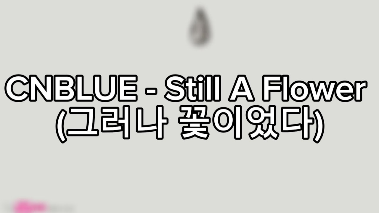 CNBLUE - Still A Flower (그러나 꽃이었다) || Lyrics _Rom_INA Sub