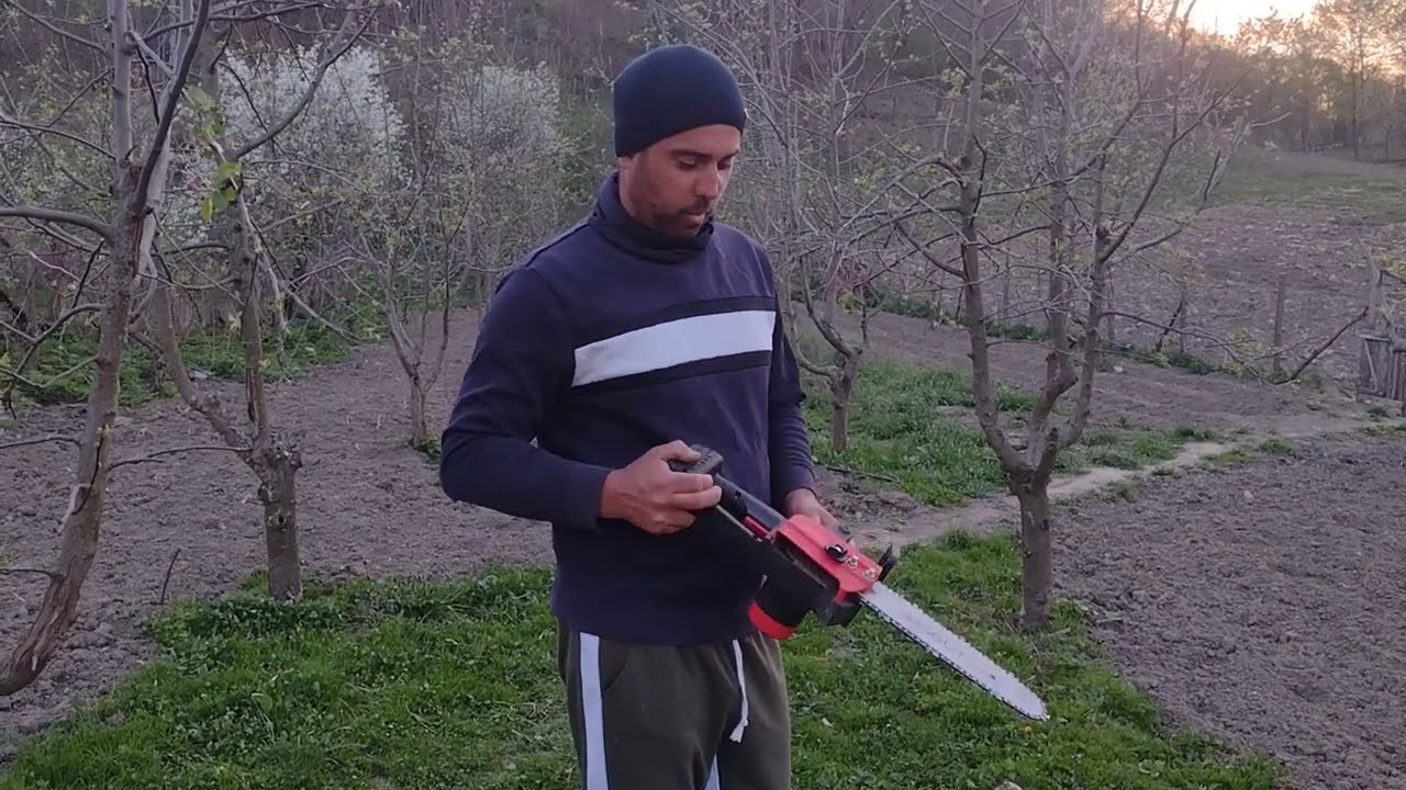 probă mini drujba electrica cu acumulator