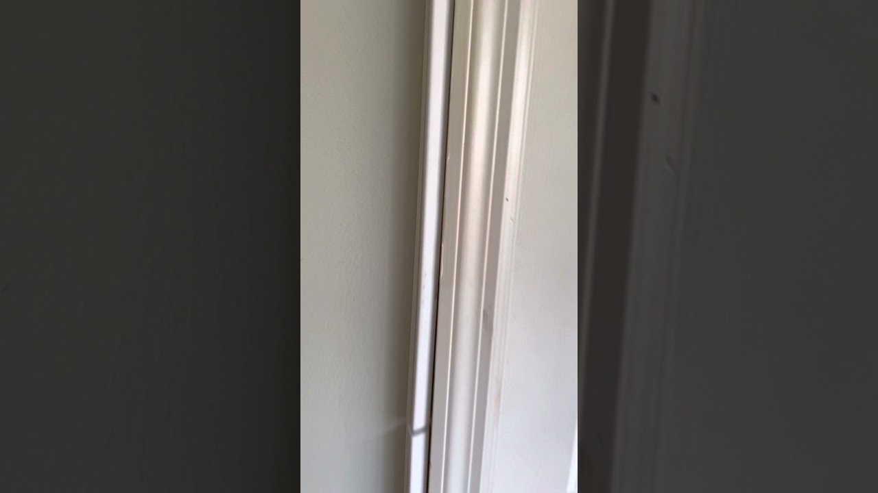 How to remove wire management system that is held by double sided tape without damaging the wall