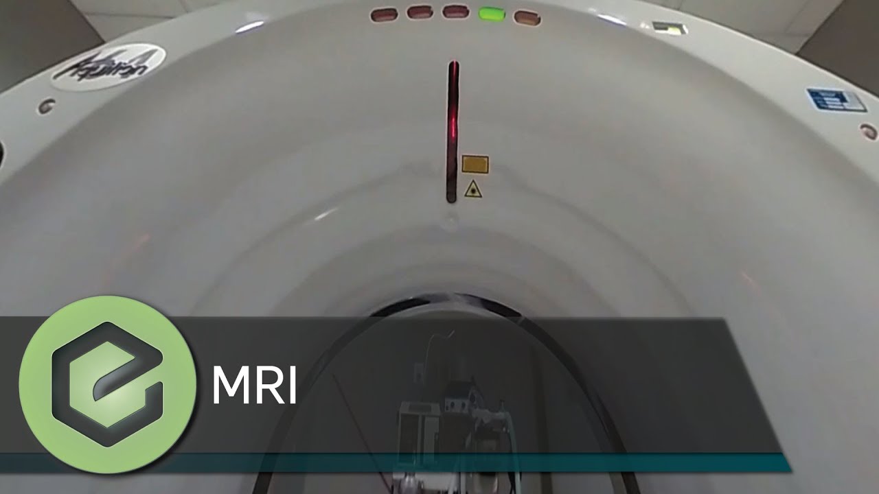 Wheat Ridge Animal Hospital 360 Tour - MRI Suite