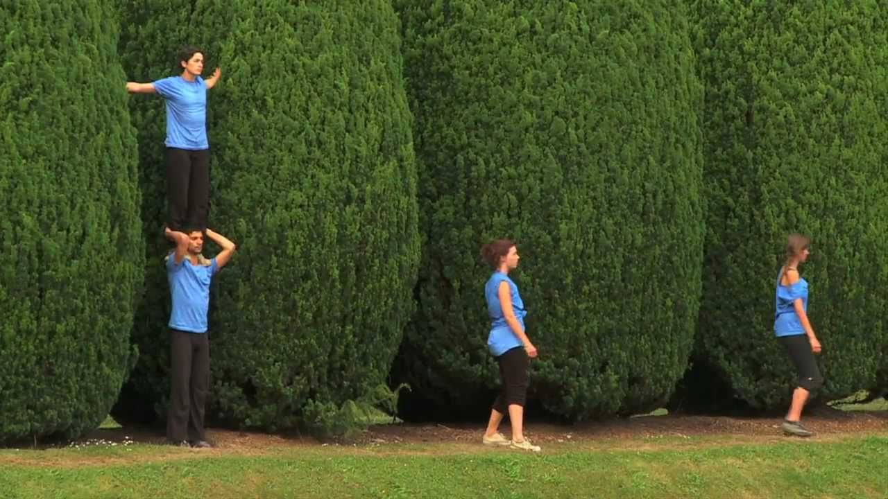 Stephan Koplowitz:TaskForce UK 2009 Perf Excerpts:Dartington (site-specific performance)