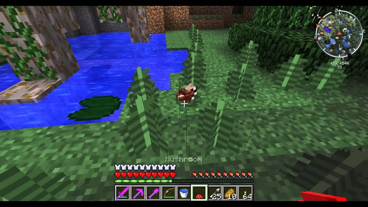 Minecraft - wildeem & FTB - Ep10